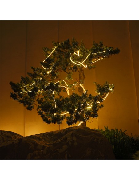 Bandeau Solaire - 10 Mètres 2000K