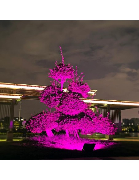 100W RGB Solar Projector