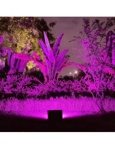 RGBW Multicolor LED Solar Floodlight 2060lm...