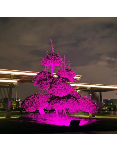 RGBW Multicolor LED Solar Floodlight 2060lm...