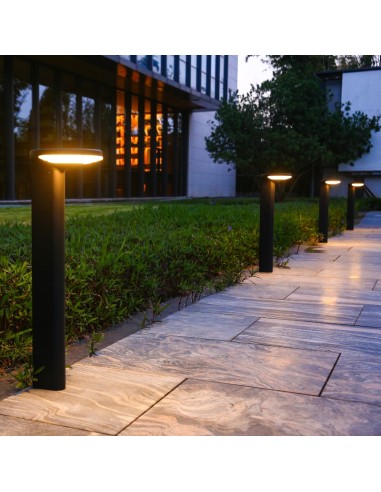 Borne LED Solaire 300lm Modèle Vaneos