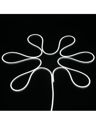 Bande LED Néon Flexible 5M/Rouleau Prix au...