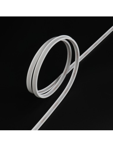 Bande LED Néon Flexible 5M/Rouleau Prix au...