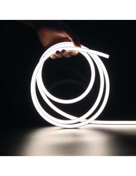 LED Neon Flexible Lamp 06x12