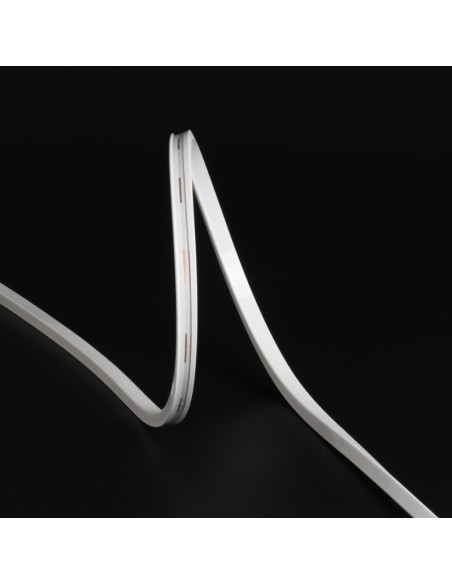 LED Neon Flexible Lamp 06x12