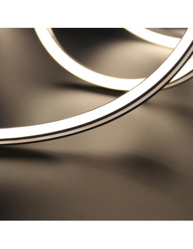 Néon LED Flexible 5M/Rouleau Prix au Mètre...