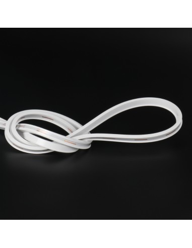 Néon LED Flexible 5M/Rouleau Prix au Mètre...