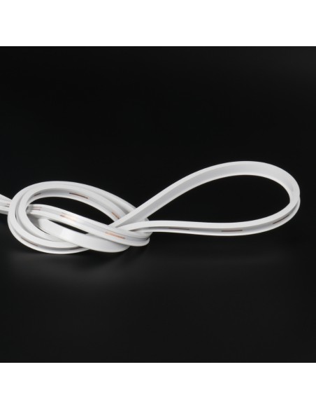 Néon LED Flexible 5M/Rouleau Prix au Mètre Modèle 06x12mm