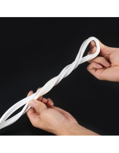 Néon LED Flexible 5M/Rouleau Prix au Mètre...