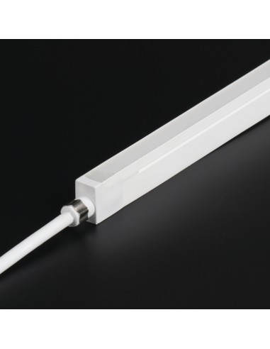 Bande LED Néon Flexible 5M/Rouleau prix au...