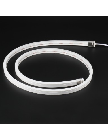 Bande LED Néon Flexible 5M/Rouleau prix au...