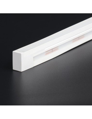 Bande LED Néon Flexible 5M/Rouleau prix au...