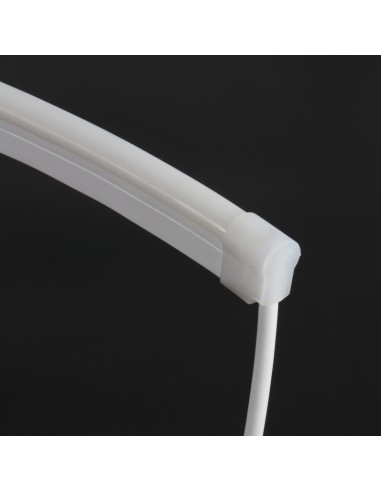 Bande LED RGB Néon Flexible 5m/Rouleau Modèle...