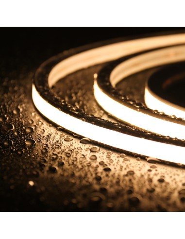 Bande Néon LED Flexible 10x10