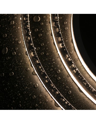 Bande Néon LED Flexible 10x10