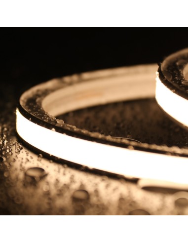 Bande Néon LED Flexible 10x10