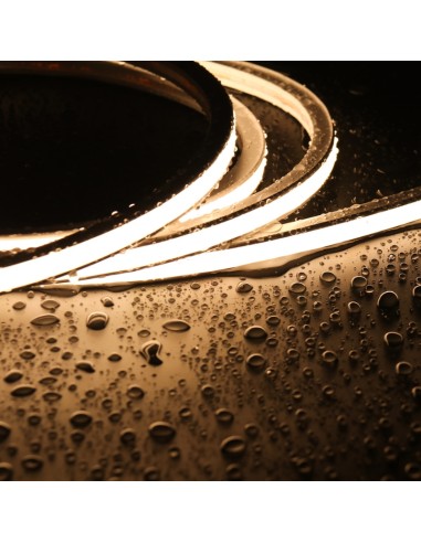 Bande Néon LED Flexible 10x10