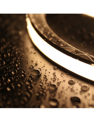 Bande Néon LED Flexible 10x10