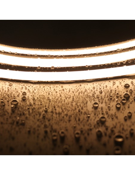 Bande Néon LED Flexible 10x10