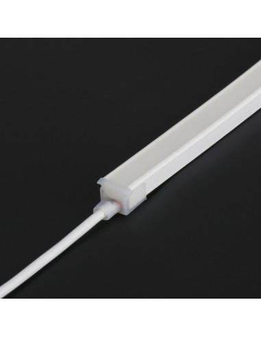 Bande Néon LED Flexible 10x10