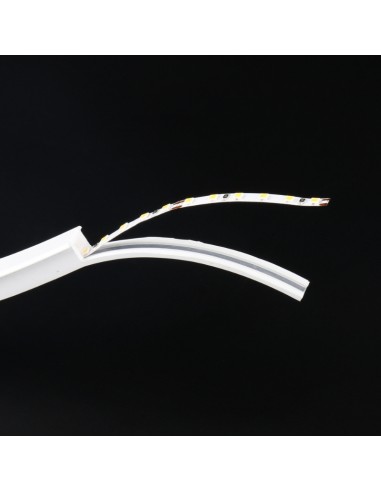 Bande Néon LED Flexible 10x10