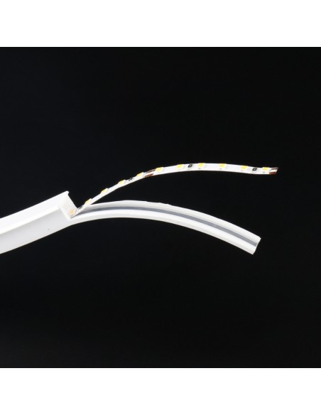 Bande Néon LED Flexible 10x10