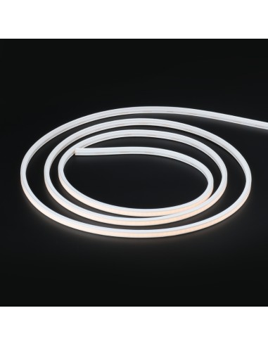 Bande Néon LED Flexible 10x10