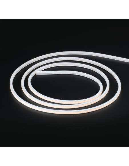 Bande Néon LED Flexible 10x10