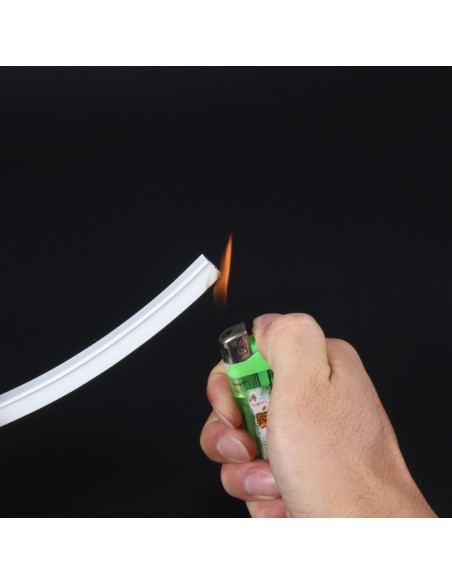 Bande Néon LED Flexible 10x10