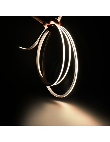 Bande Néon LED Flexible 10x10