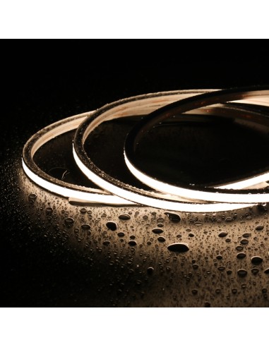 Bande Néon LED Flexible 10x10