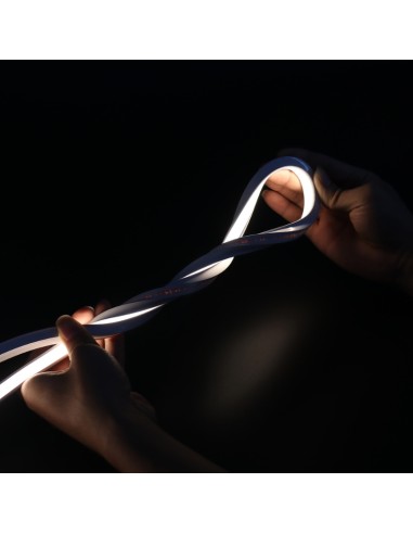 Bande Néon LED Flexible 10x10