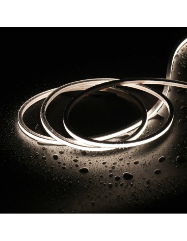 Bande Néon LED Flexible 10x10