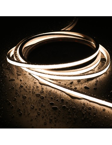 Bande Néon LED Flexible 10x10