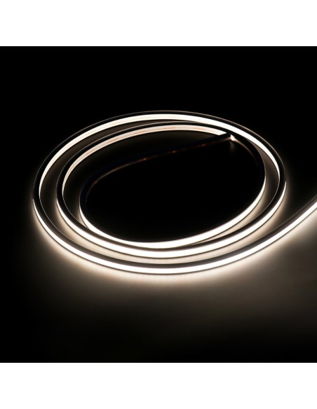 Bande Néon LED Flexible 10x10