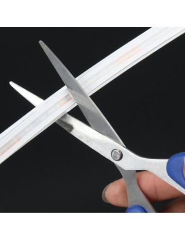 Bande Néon LED Flexible 10x10