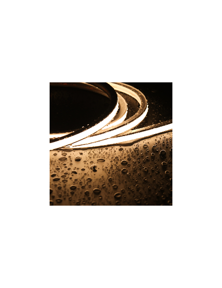 Bande Néon LED Flexible 10x10